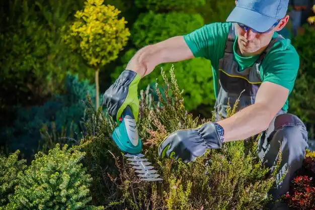 landscaping services Maringouin